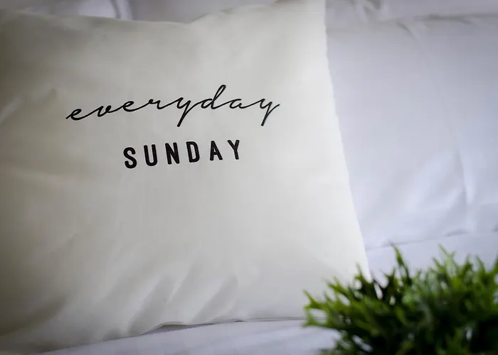 旅馆 Everyday Sunday Social